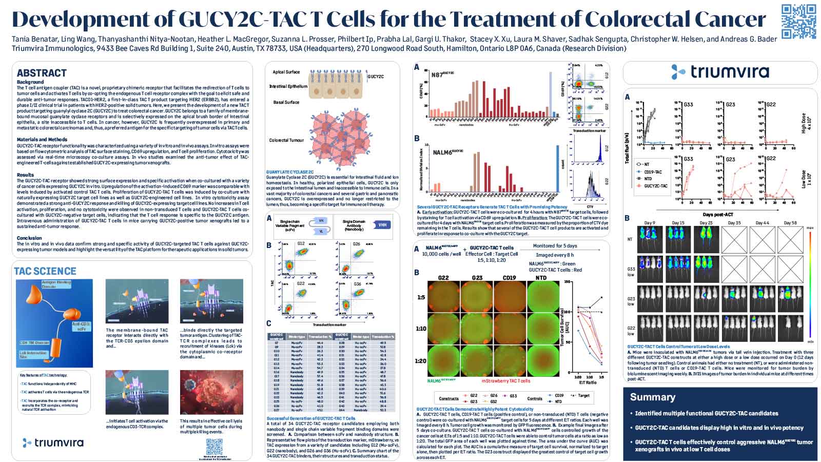 Development of GUCY2C-TAC T Cells for the Treatment of Colorectal Cancer